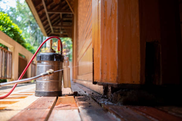 Pest Prevention Services in Altamonte Springs, FL